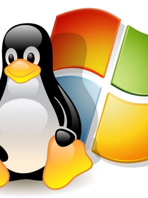 The Difference between Linux-based hosting and Windows-based Hosting